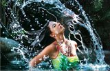 Kingfisher Swimsuit Special Calendar